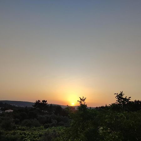 R3 - Guesthouse Travessa Da Arieira Aguda (Leiria) מראה חיצוני תמונה