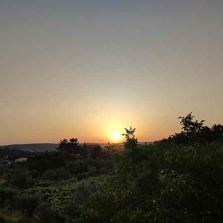 R3 - Guesthouse Travessa Da Arieira Aguda (Leiria) מראה חיצוני תמונה