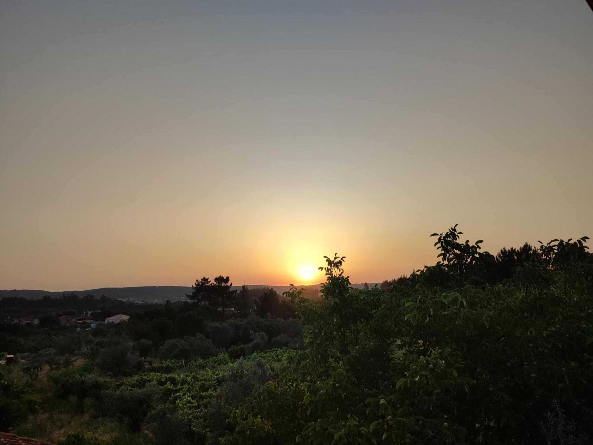 R3 - Guesthouse Travessa Da Arieira Aguda (Leiria) מראה חיצוני תמונה